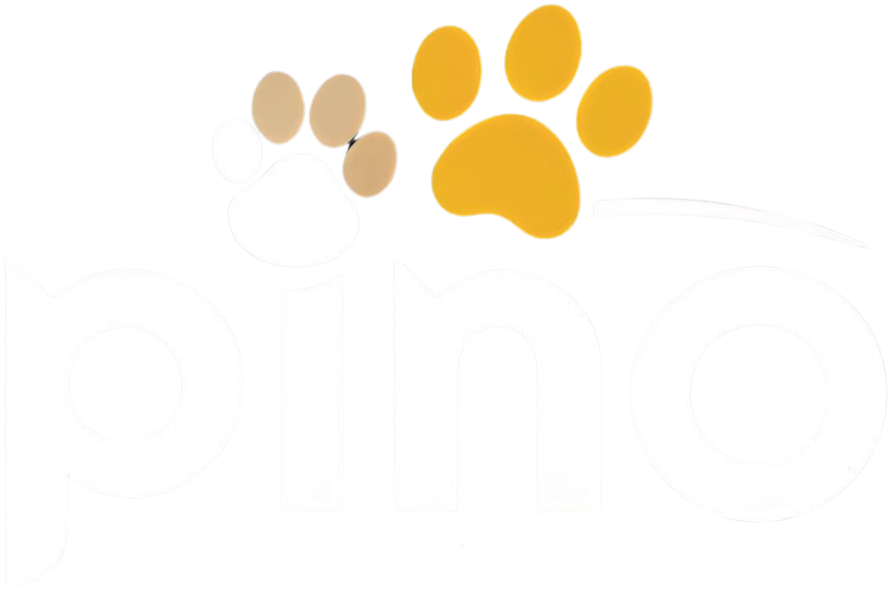 Pino